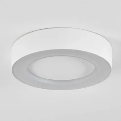 Plafonnier Exterieur Paleroo Led Blanc, 1 Lumiere