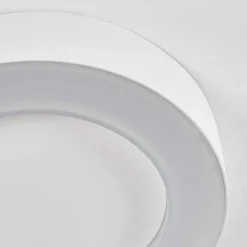 Plafonnier Exterieur Paleroo Led Blanc, 1 Lumiere