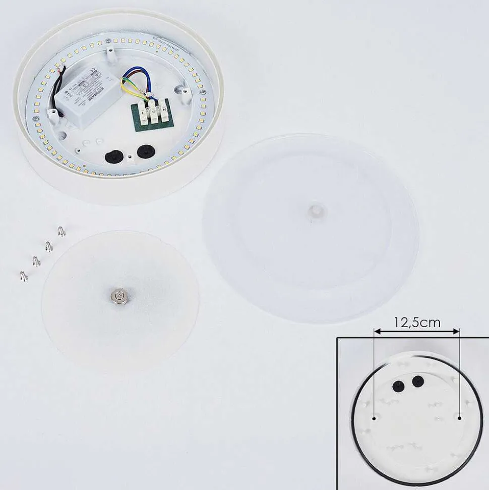 Plafonnier Exterieur Paleroo Led Blanc, 1 Lumiere