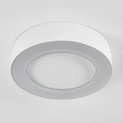 Plafonnier Exterieur Paleroo Led Blanc, 1 Lumiere
