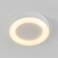 Plafonnier Exterieur Paleroo Led Blanc, 1 Lumiere