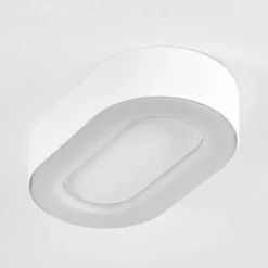 Plafonnier Exterieur Paleroo Led Blanc, 1 Lumiere
