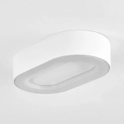 Plafonnier Exterieur Paleroo Led Blanc, 1 Lumiere