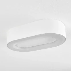 Plafonnier Exterieur Paleroo Led Blanc, 1 Lumiere