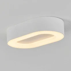 Plafonnier Exterieur Paleroo Led Blanc, 1 Lumiere