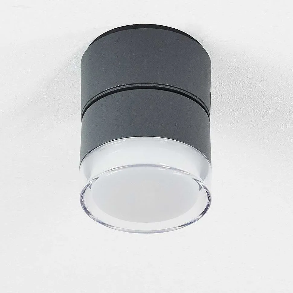 Plafonnier Exterieur Papagayos Led Anthracite, Blanc, 1 Lumiere, Changeur De Couleurs