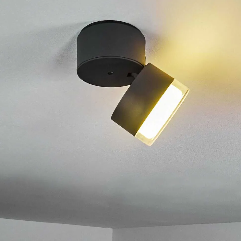 Plafonnier Exterieur Papagayos Led Anthracite, Blanc, 1 Lumiere, Changeur De Couleurs