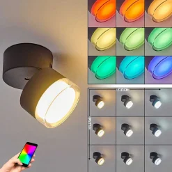 Plafonnier Exterieur Papagayos Led Anthracite, Blanc, 1 Lumiere, Changeur De Couleurs