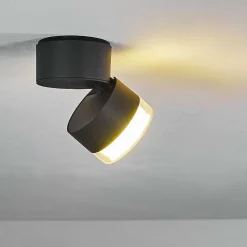 Plafonnier Exterieur Papagayos Led Anthracite, Blanc, 1 Lumiere, Changeur De Couleurs