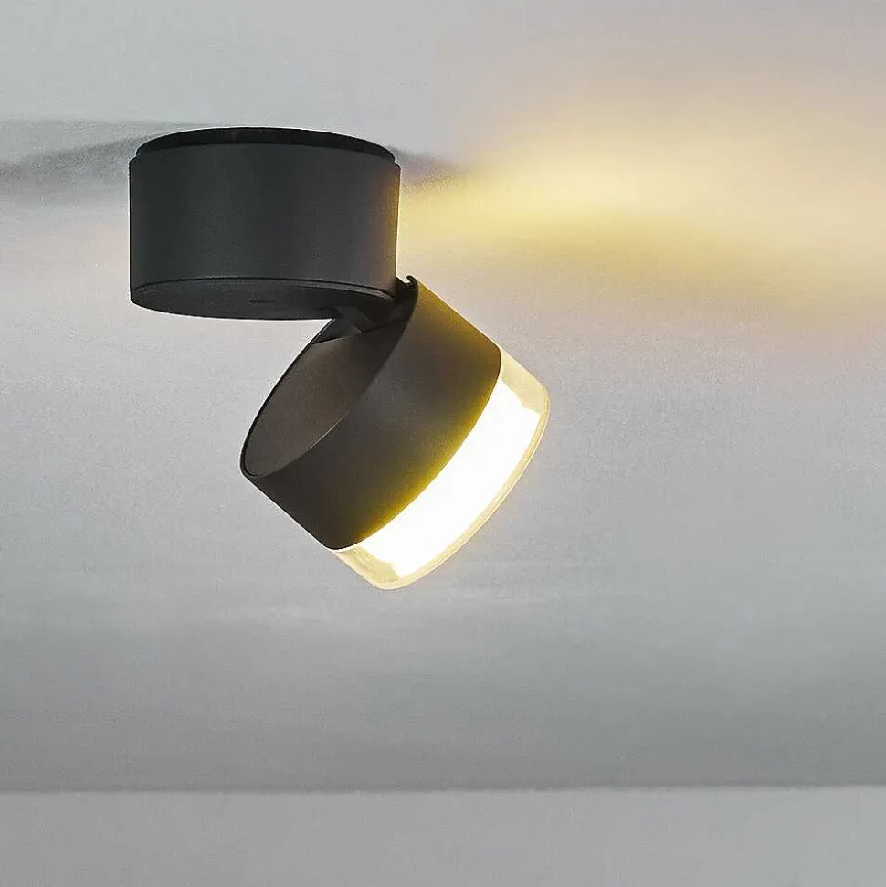 Plafonnier Exterieur Papagayos Led Anthracite, Blanc, 1 Lumiere, Changeur De Couleurs