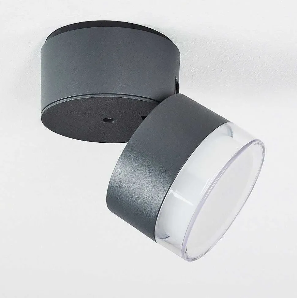 Plafonnier Exterieur Papagayos Led Anthracite, Blanc, 1 Lumiere, Changeur De Couleurs