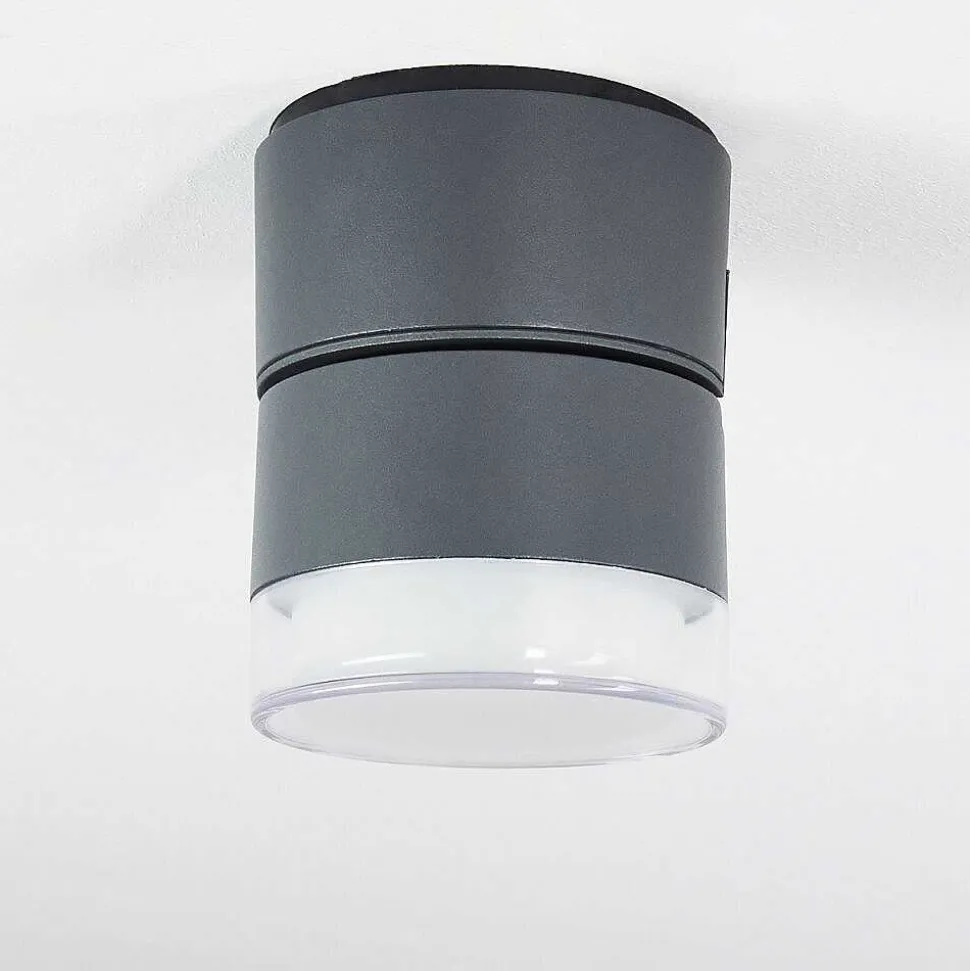 Plafonnier Exterieur Papagayos Led Anthracite, Blanc, 1 Lumiere, Changeur De Couleurs