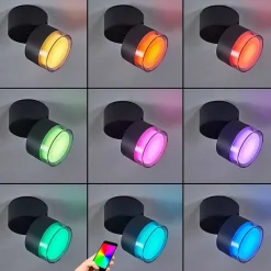 Plafonnier Exterieur Papagayos Led Anthracite, Blanc, 1 Lumiere, Changeur De Couleurs