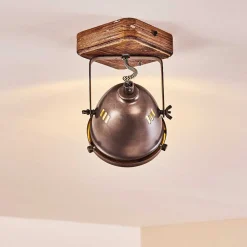 Plafonnier Glostrup Brun, Acier Inoxydable, 1 Lumiere