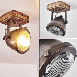 Plafonnier Glostrup Brun, Acier Inoxydable, 1 Lumiere