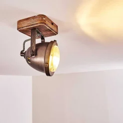 Plafonnier Glostrup Brun, Acier Inoxydable, 1 Lumiere