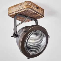 Plafonnier Glostrup Brun, Acier Inoxydable, 1 Lumiere