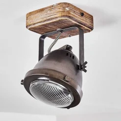 Plafonnier Glostrup Brun, Acier Inoxydable, 1 Lumiere