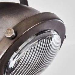 Plafonnier Glostrup Brun, Acier Inoxydable, 1 Lumiere