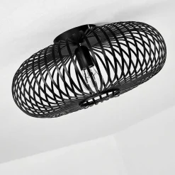 Plafonnier Ovari Noir, 1 Lumiere