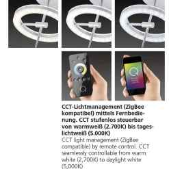 Plafonnier Paul Neuhaus Q-Amy Led Acier Inoxydable, 6 Lumieres, Telecommandes