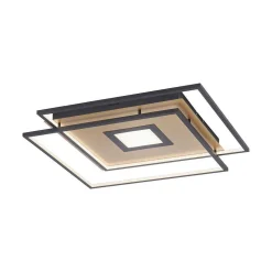 Plafonnier Paul Neuhaus Q-Amira Led Noir, 1 Lumiere, Telecommandes