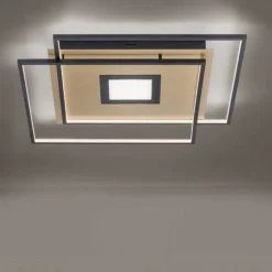 Plafonnier Paul Neuhaus Q-Amira Led Noir, 1 Lumiere, Telecommandes