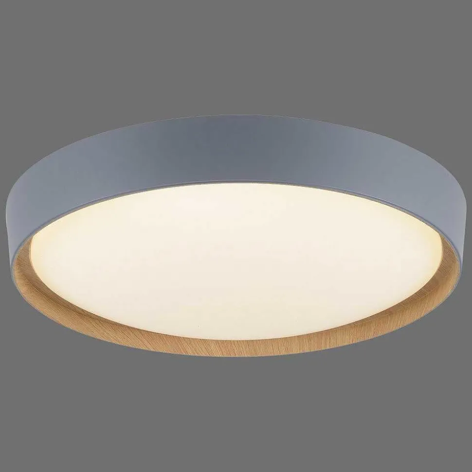 Plafonnier Paul Neuhaus Q-Emilia Led Gris, Couleur Bois, 1 Lumiere, Telecommandes