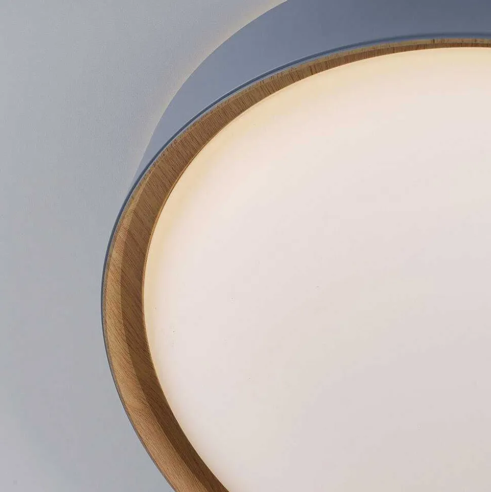 Plafonnier Paul Neuhaus Q-Emilia Led Gris, Couleur Bois, 1 Lumiere, Telecommandes