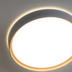 Plafonnier Paul Neuhaus Q-Emilia Led Gris, Couleur Bois, 1 Lumiere, Telecommandes