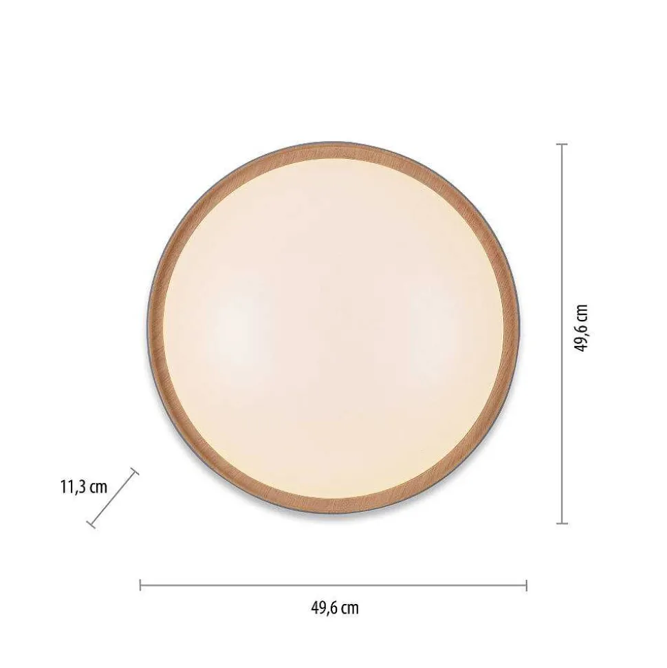 Plafonnier Paul Neuhaus Q-Emilia Led Gris, Couleur Bois, 1 Lumiere, Telecommandes