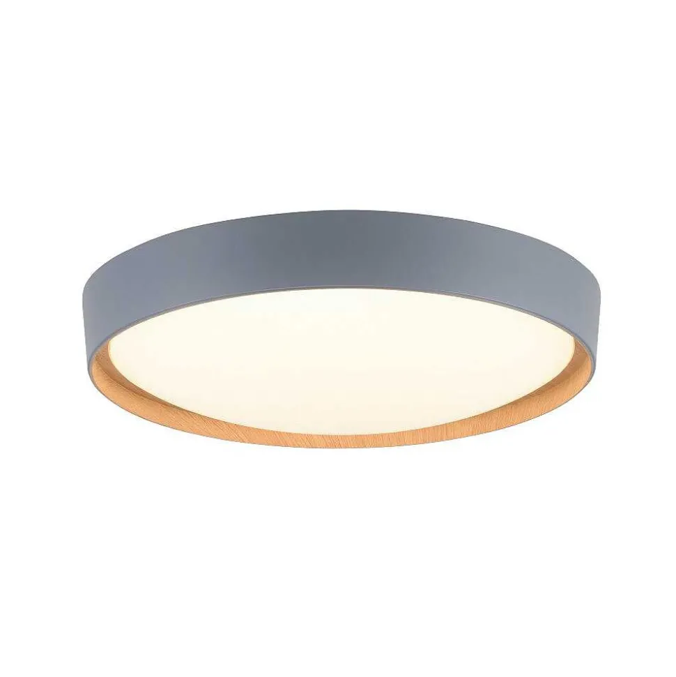 Plafonnier Paul Neuhaus Q-Emilia Led Gris, Couleur Bois, 1 Lumiere, Telecommandes