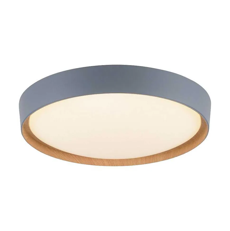 Plafonnier Paul Neuhaus Q-Emilia Led Gris, Couleur Bois, 1 Lumiere, Telecommandes