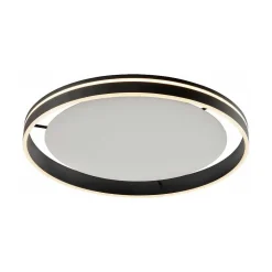 Plafonnier Paul Neuhaus Q-Vito Led Anthracite, 1 Lumiere, Telecommandes