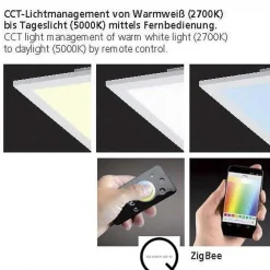 Plafonnier Paul Neuhaus Q-Flag Led Blanc, 1 Lumiere, Telecommandes