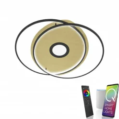 Plafonnier Paul Neuhaus Q-Amira Led Noir, 1 Lumiere, Telecommandes