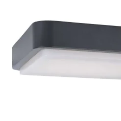 Plafonnier Paul Neuhaus Q-Lenny Led Anthracite, 1 Lumiere, Telecommandes, Changeur De Couleurs