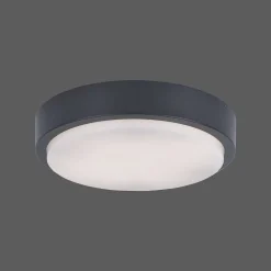 Plafonnier Paul Neuhaus Q-Lenny Led Anthracite, 1 Lumiere, Telecommandes, Changeur De Couleurs