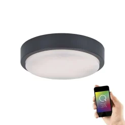 Plafonnier Paul Neuhaus Q-Lenny Led Anthracite, 1 Lumiere, Telecommandes, Changeur De Couleurs