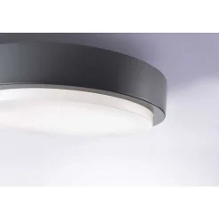 Plafonnier Paul Neuhaus Q-Lenny Led Anthracite, 1 Lumiere, Telecommandes, Changeur De Couleurs