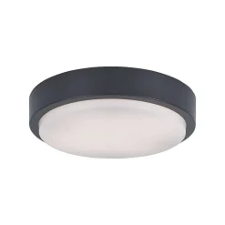 Plafonnier Paul Neuhaus Q-Lenny Led Anthracite, 1 Lumiere, Telecommandes, Changeur De Couleurs