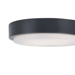 Plafonnier Paul Neuhaus Q-Lenny Led Anthracite, 1 Lumiere, Telecommandes, Changeur De Couleurs