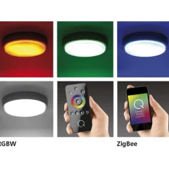 Plafonnier Paul Neuhaus Q-Lenny Led Anthracite, 1 Lumiere, Telecommandes, Changeur De Couleurs