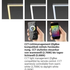 Plafonnier Paul Neuhaus Q-Inigo Led Acier Inoxydable, 2 Lumieres, Telecommandes