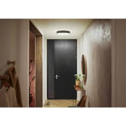 Plafonnier Philips Hue Enrave Led Noir, 1 Lumiere, Telecommandes