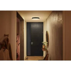 Plafonnier Philips Hue Enrave Led Noir, 1 Lumiere, Telecommandes