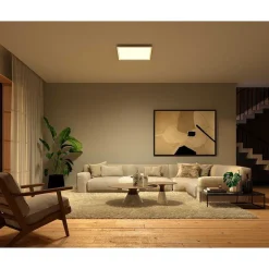 Plafonnier Philips Hue Surimu Led Blanc, 1 Lumiere, Changeur De Couleurs