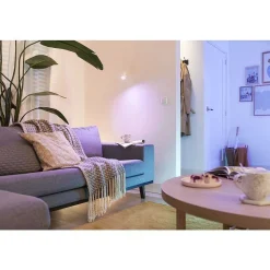 Plafonnier Philips Wiz Imageo Led Blanc, 1 Lumiere, Changeur De Couleurs