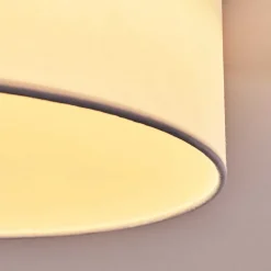 Plafonnier Purus Led Blanc, 1 Lumiere