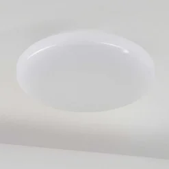 Plafonnier Ral Led Argente, Blanc, 1 Lumiere, Telecommandes, Changeur De Couleurs